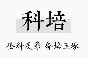 科培名字的寓意及含义