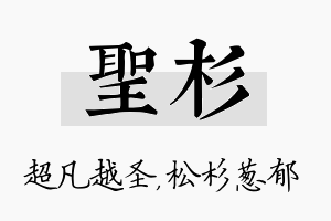 圣杉名字的寓意及含义