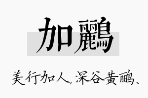 加鹂名字的寓意及含义