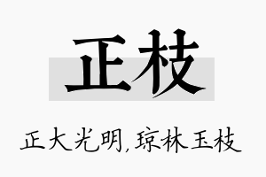 正枝名字的寓意及含义