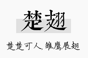 楚翅名字的寓意及含义