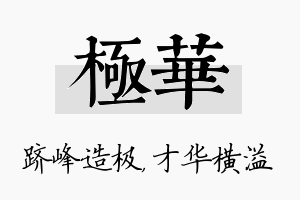 极华名字的寓意及含义