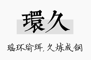 环久名字的寓意及含义