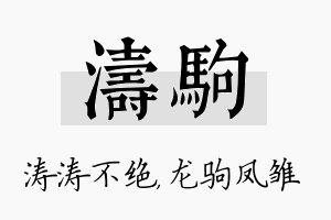 涛驹名字的寓意及含义