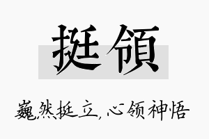 挺领名字的寓意及含义