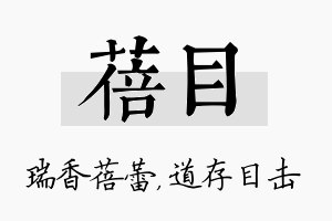 蓓目名字的寓意及含义