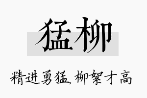 猛柳名字的寓意及含义