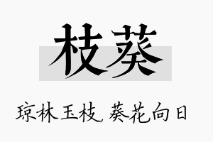 枝葵名字的寓意及含义