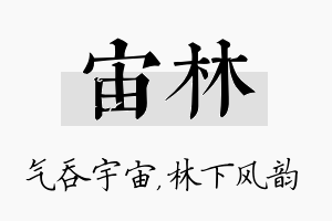 宙林名字的寓意及含义