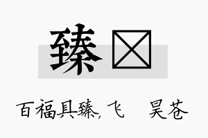 臻翀名字的寓意及含义