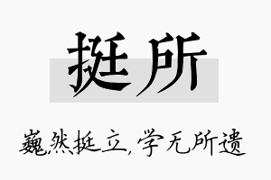 挺所名字的寓意及含义