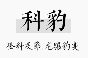 科豹名字的寓意及含义