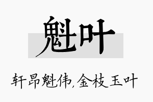 魁叶名字的寓意及含义