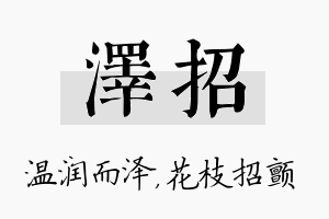 泽招名字的寓意及含义