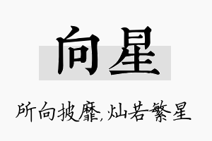 向星名字的寓意及含义