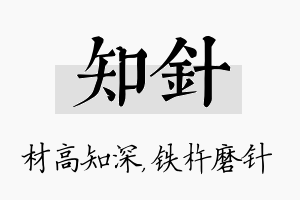 知针名字的寓意及含义