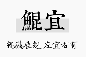 鲲宜名字的寓意及含义