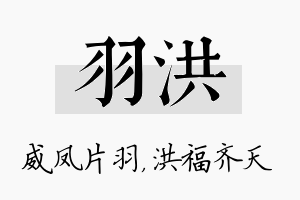 羽洪名字的寓意及含义