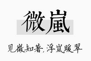 微岚名字的寓意及含义