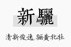 新骊名字的寓意及含义