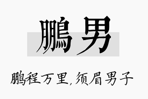 鹏男名字的寓意及含义