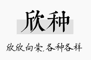 欣种名字的寓意及含义