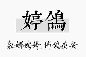 婷鸽名字的寓意及含义