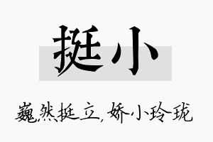 挺小名字的寓意及含义