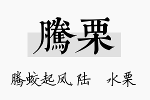 腾栗名字的寓意及含义