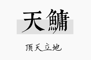 天鳙名字的寓意及含义