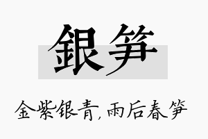 银笋名字的寓意及含义