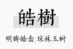 皓树名字的寓意及含义