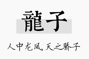 龙子名字的寓意及含义