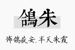 鸽朱名字的寓意及含义