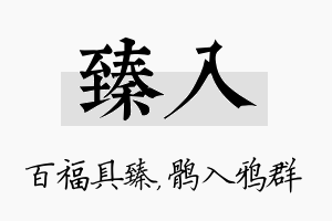 臻入名字的寓意及含义