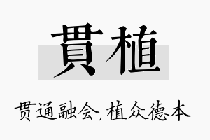 贯植名字的寓意及含义