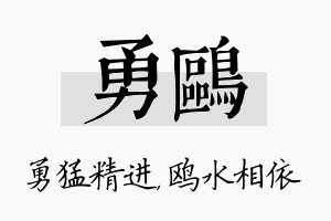 勇鸥名字的寓意及含义