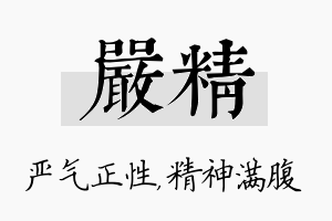 严精名字的寓意及含义