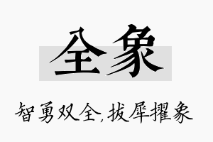 全象名字的寓意及含义