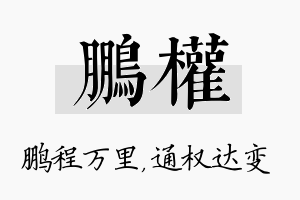 鹏权名字的寓意及含义