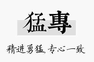 猛专名字的寓意及含义