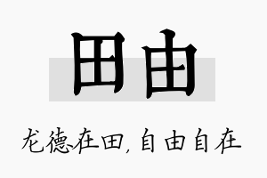 田由名字的寓意及含义