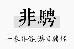 非骋名字的寓意及含义