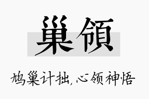 巢领名字的寓意及含义