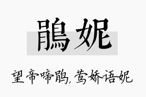 鹃妮名字的寓意及含义