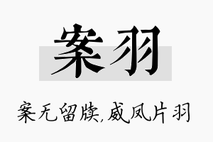 案羽名字的寓意及含义