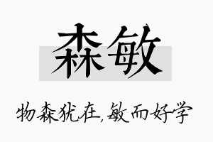 森敏名字的寓意及含义