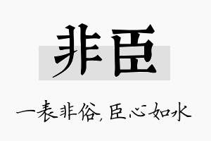 非臣名字的寓意及含义