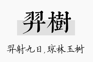 羿树名字的寓意及含义