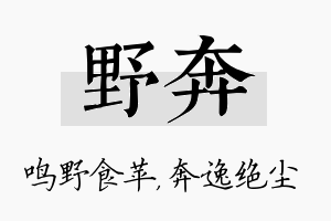 野奔名字的寓意及含义